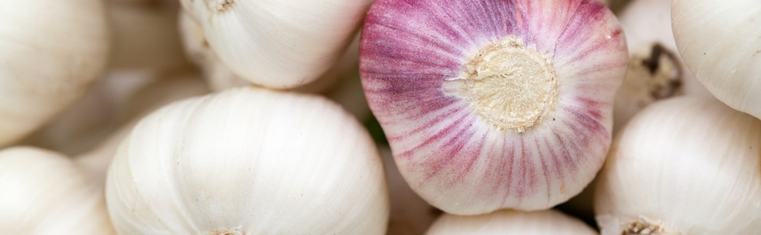 Studie: Knoblauch sinnvoll bei Typ-2-Diabetes